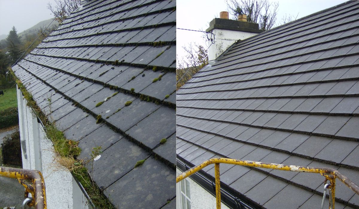 Roof-cleaning-Gutter-Cleaning (1)