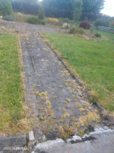 Before Patio Cleaning