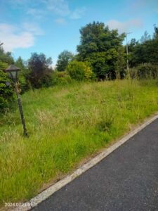 Before Grass Cutting