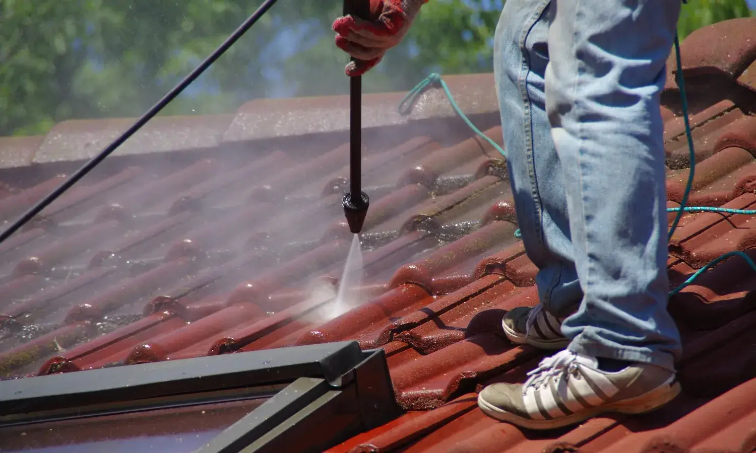 Roof Cleaning Services in Wexford